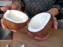 stem 1 to open a cocnut